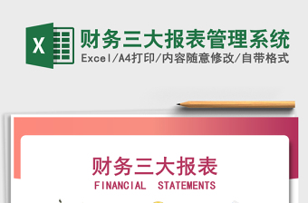 2024年财务三大报表管理系统