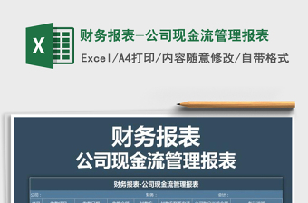 2025年财务报表-公司现金流管理报表