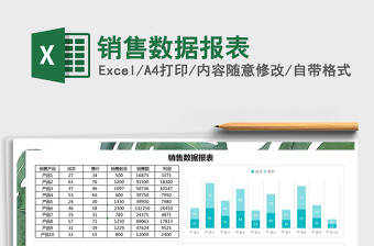 2025年销售数据报表