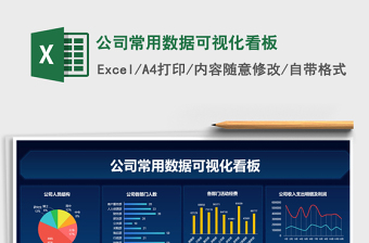 2024年公司常用数据可视化看板