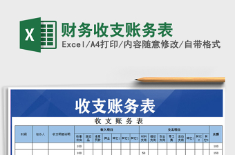 2025年财务收支账务表