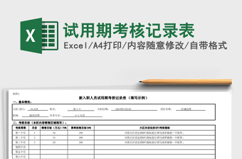 2025年试用期考核记录表