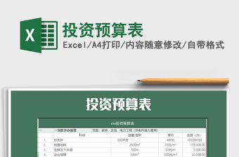 2024年投资预算表