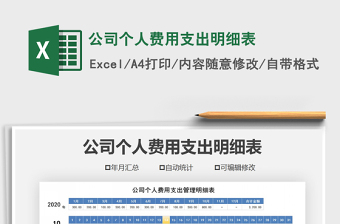 2024年公司个人费用支出明细表