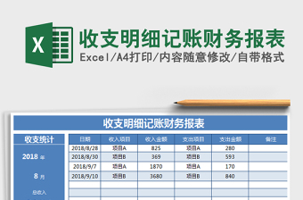 2025年收支明细记账财务报表