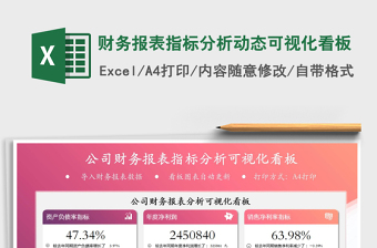 2024年财务报表指标分析动态可视化看板