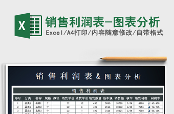 2025年销售利润表-图表分析