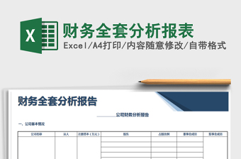 财务全套分析报表