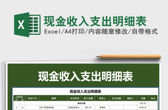 2025年现金收入支出明细表