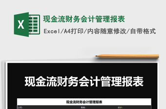 2025年现金流财务会计管理报表