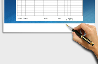2025年审计查账记录表