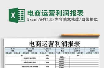 2025年电商运营利润报表