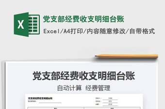 2024年党支部经费收支明细台账
