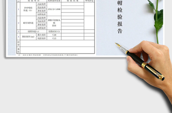 2025年安全帽检验报告