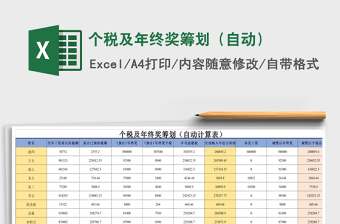 2024年个税及年终奖筹划（自动）免费下载