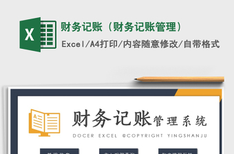 2024年财务记账（财务记账管理）