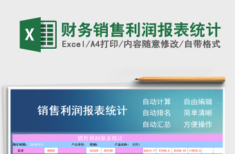 2025年财务销售利润报表统计