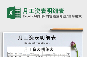 2025年月工资表明细表