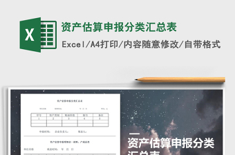 2025年资产估算申报分类汇总表