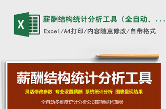 2024年薪酬结构统计分析工具（全自动、灵活、多维度专业分析免费下载