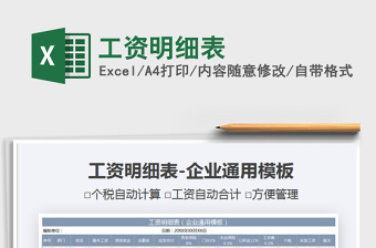 2025年工资明细表