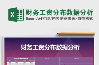 2024年财务工资分布数据分析