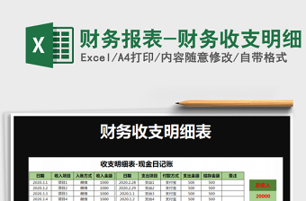 财务报表-财务收支明细