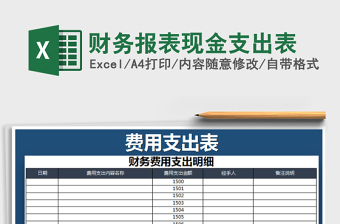 2025年财务报表现金支出表