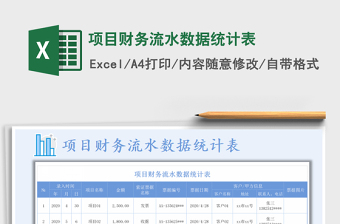 2025年项目财务流水数据统计表免费下载