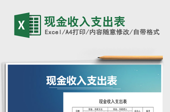 现金出入表