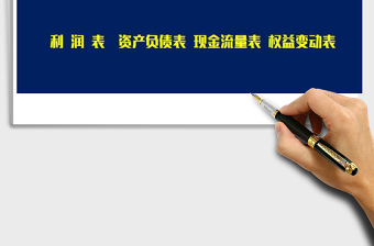 2025年财务帐表系统