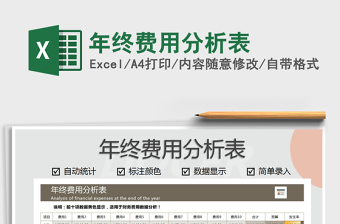 2025年年终费用分析表