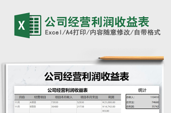 2025年公司经营利润收益表