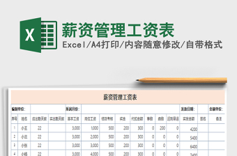 2025年薪资管理工资表