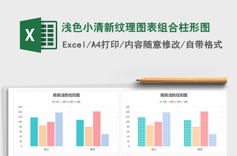 2025年浅色小清新纹理图表组合柱形图