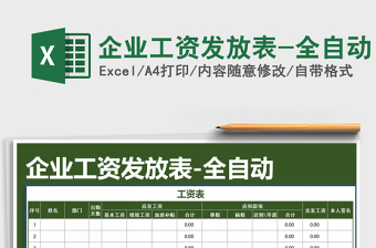 2025年企业工资发放表-全自动