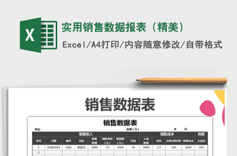 2025年实用销售数据报表（精美）