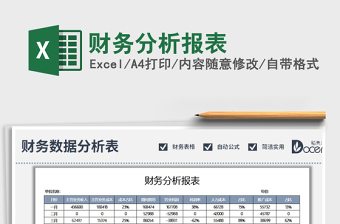 2025年财务分析报表