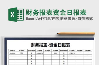 2025年财务报表资金日报表