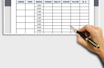 2025年车辆保险统计表