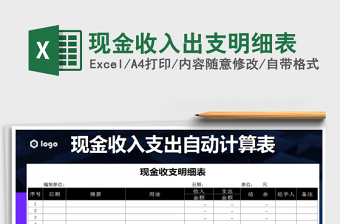 2025年现金收入出支明细表
