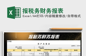 报税务财务报表