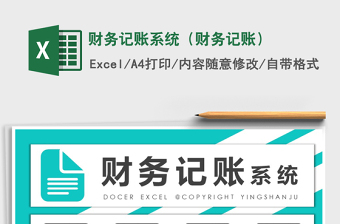 2024年财务记账系统（财务记账）