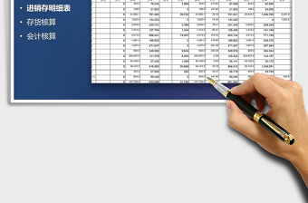 2025年进销存明细表(会计核算)