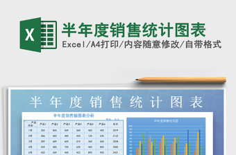 2025年半年度销售统计图表