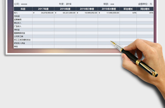 2025年公司年终财务报表