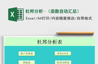 2024年杜邦分析-（函数自动汇总）