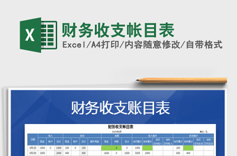 2025年财务收支帐目表