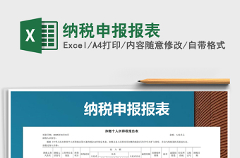 2025年纳税申报报表