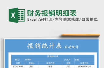 2025年财务报销明细表